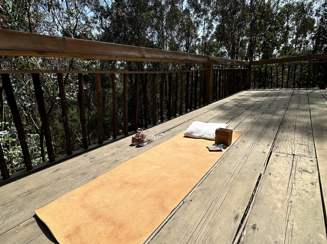 Kuriftu Entoto Adventure Park-亚的斯亚贝巴必去景点