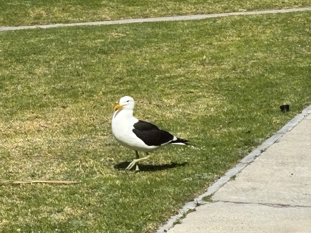 Waters Edge Beach-高登湾必去景点