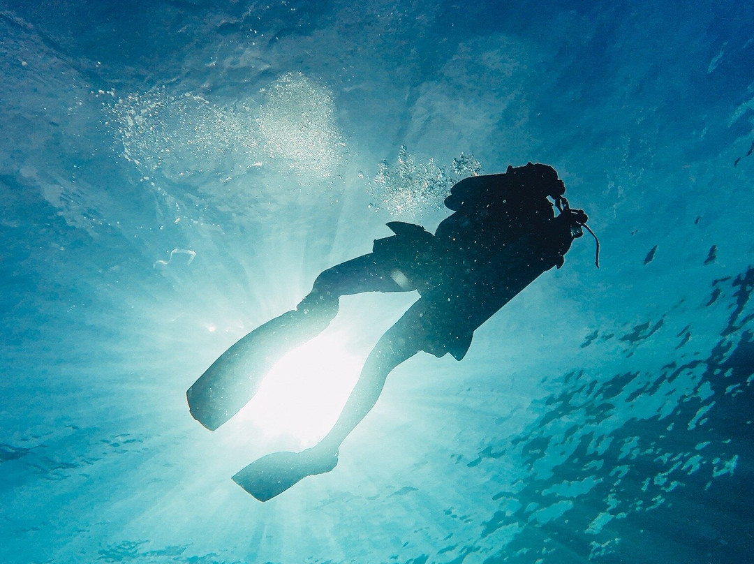 Mbi Divecenter-妈妈拍丝瓜岛必去景点