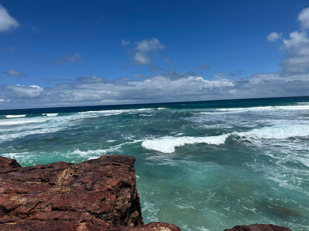 Forrest Caves-Newhaven必去景点