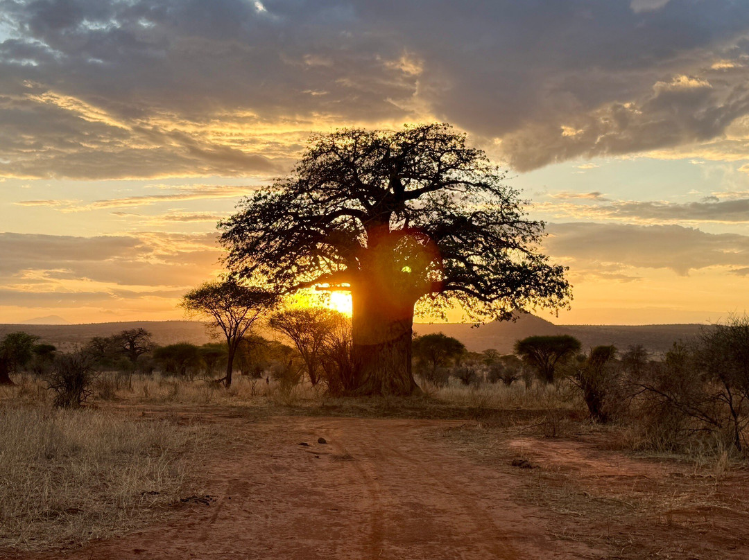 易捷旅游-一日游-阿鲁沙必去景点