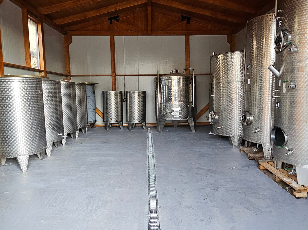 Crama Takacs Pinceszet-Aiud必去景点