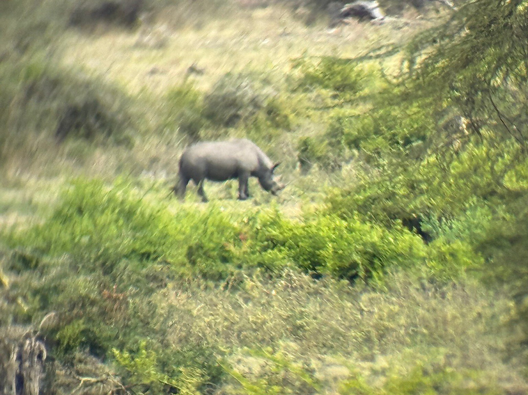 Safari Avventura-阿鲁沙必去景点