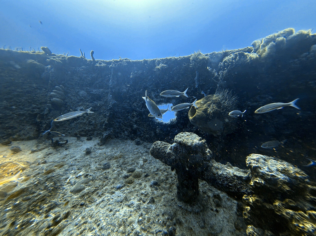 Dressel Divers Playa Del Carmen-普拉亚德尔卡曼必去景点