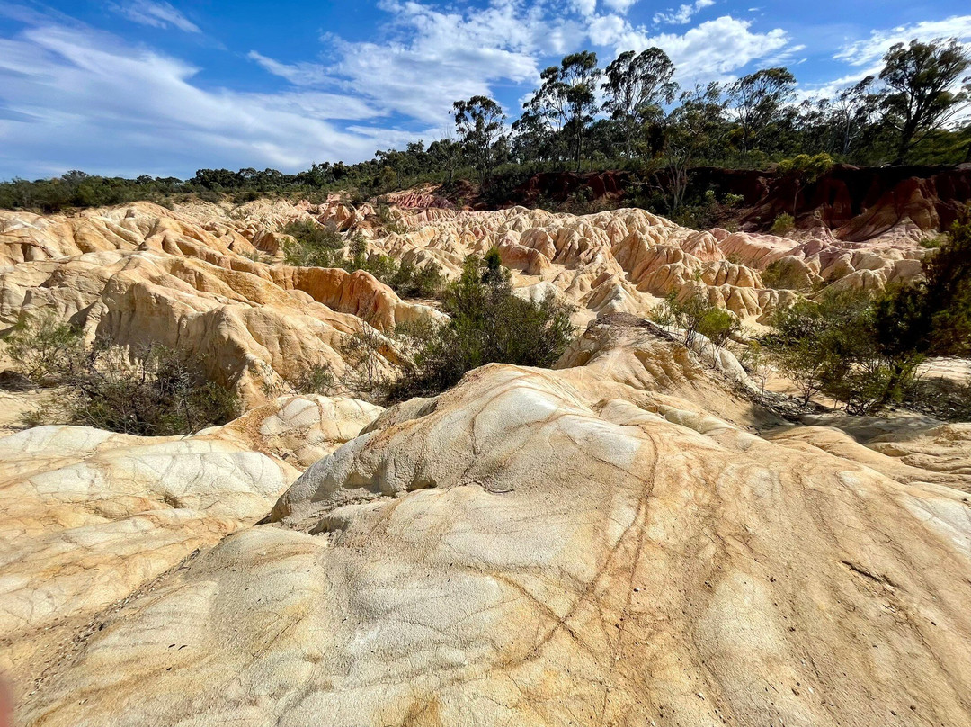 Pink Cliffs-Heathcote必去景点