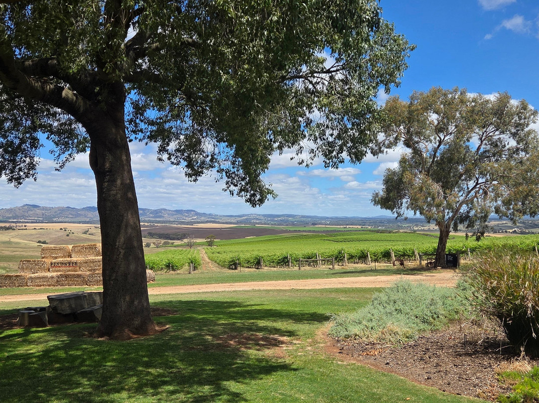 Tscharke Wines-Marananga必去景点