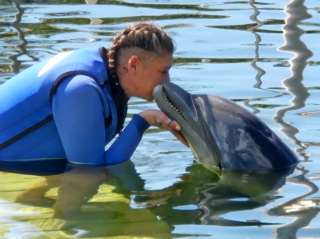 海豚商店-基拉戈-拉哥岛必去景点