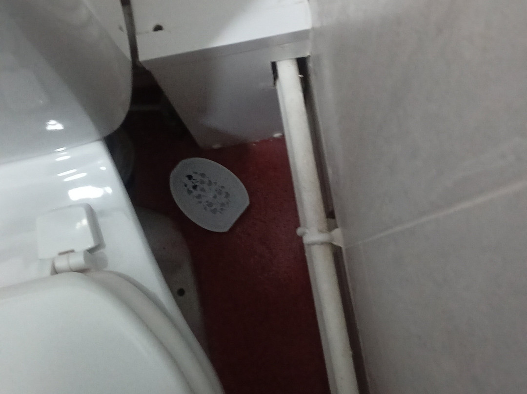 The Station Aparthotel主图