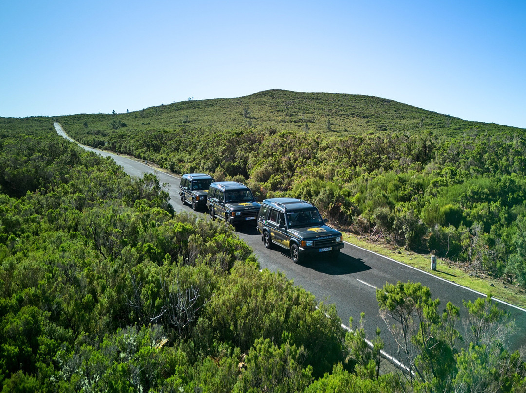 Mystical Spark Safari-马德拉群岛必去景点