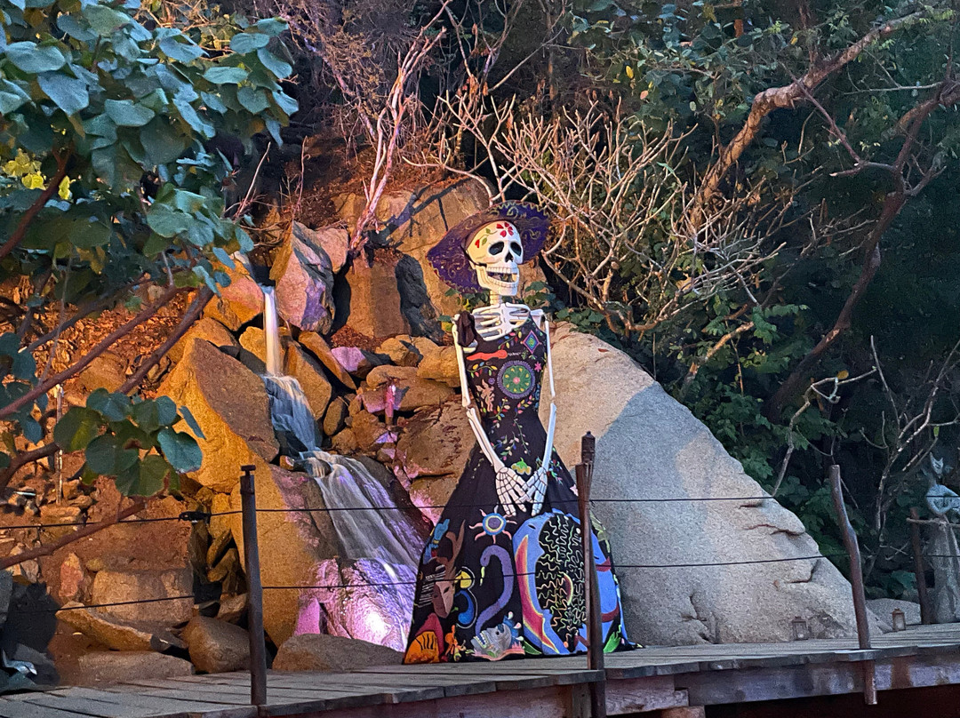 Rhythms of the Night by Vallarta Adventures-瓦拉塔港必去景点