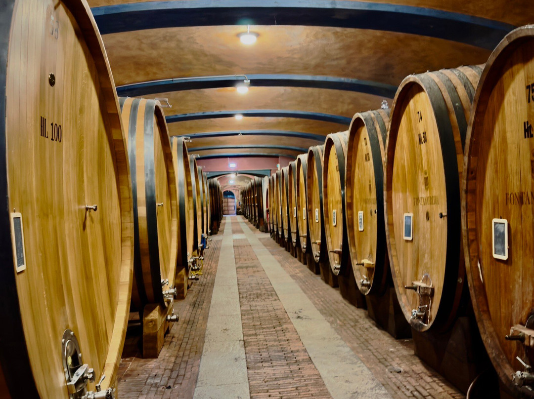 Fontanafredda-塞拉伦加达尔巴必去景点