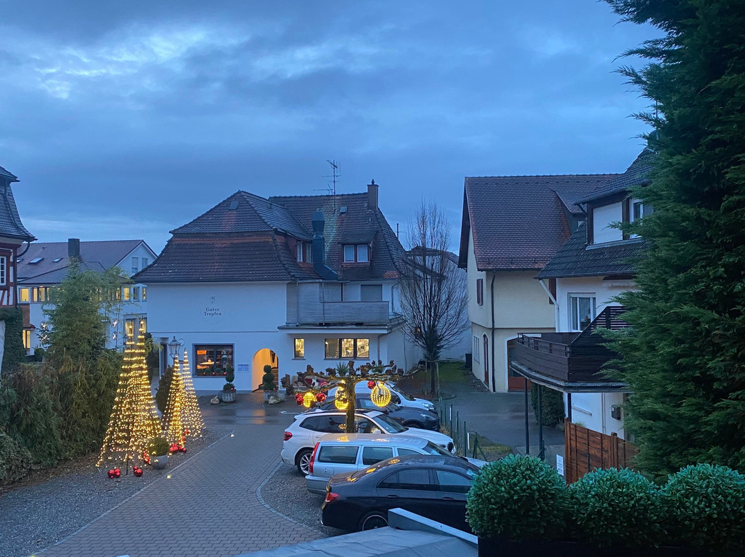 Bodenseehotel Renn主图