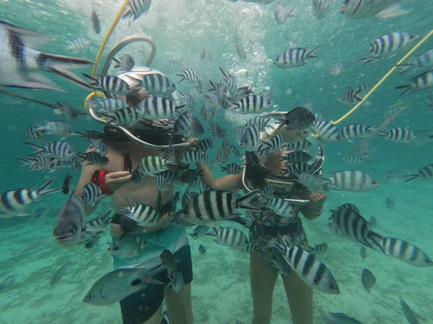 水上乐园-贝尔马尔必去景点