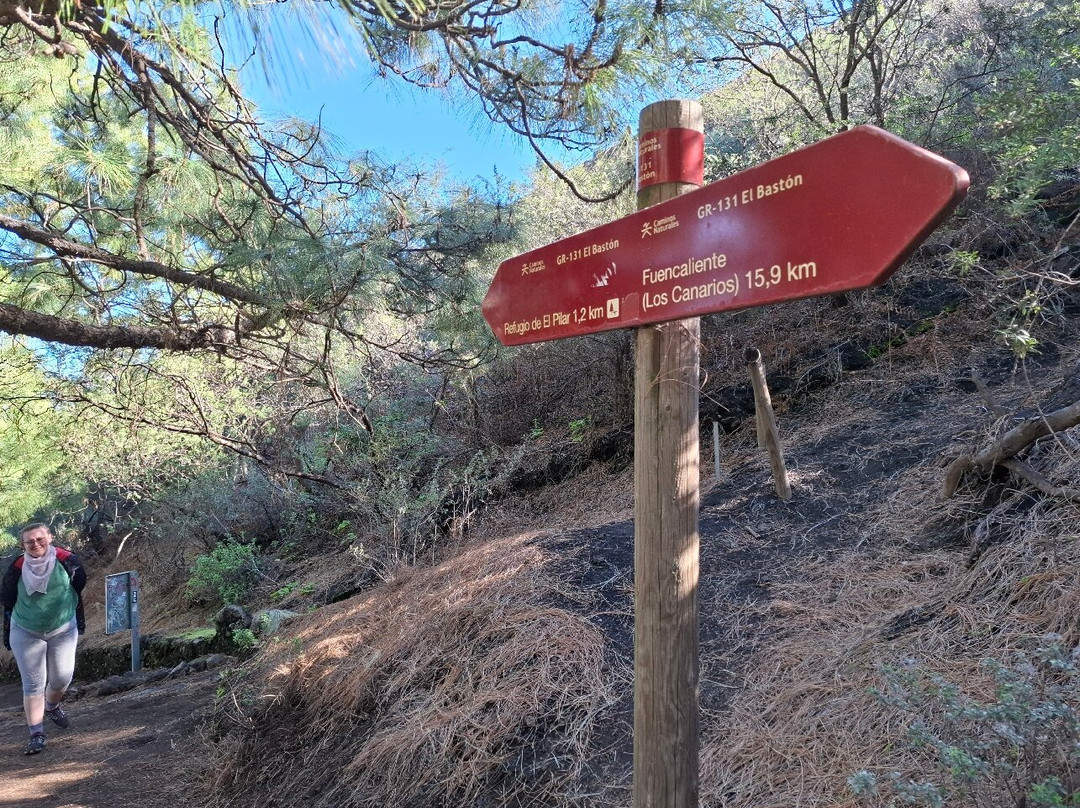 Ruta de Los Volcanes-La Palma必去景点