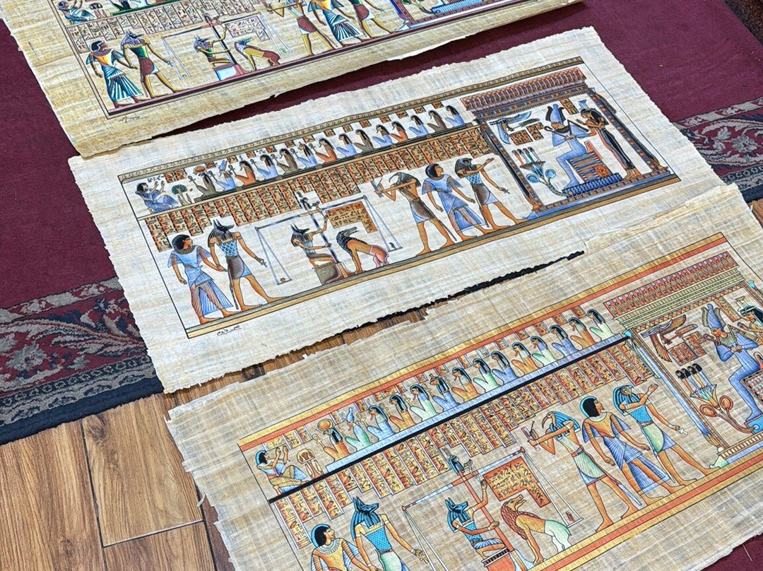 Sunny Land-开罗必去景点