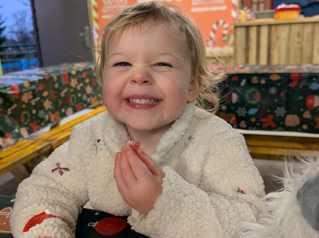 Manorafon Farm Park-Abergele必去景点