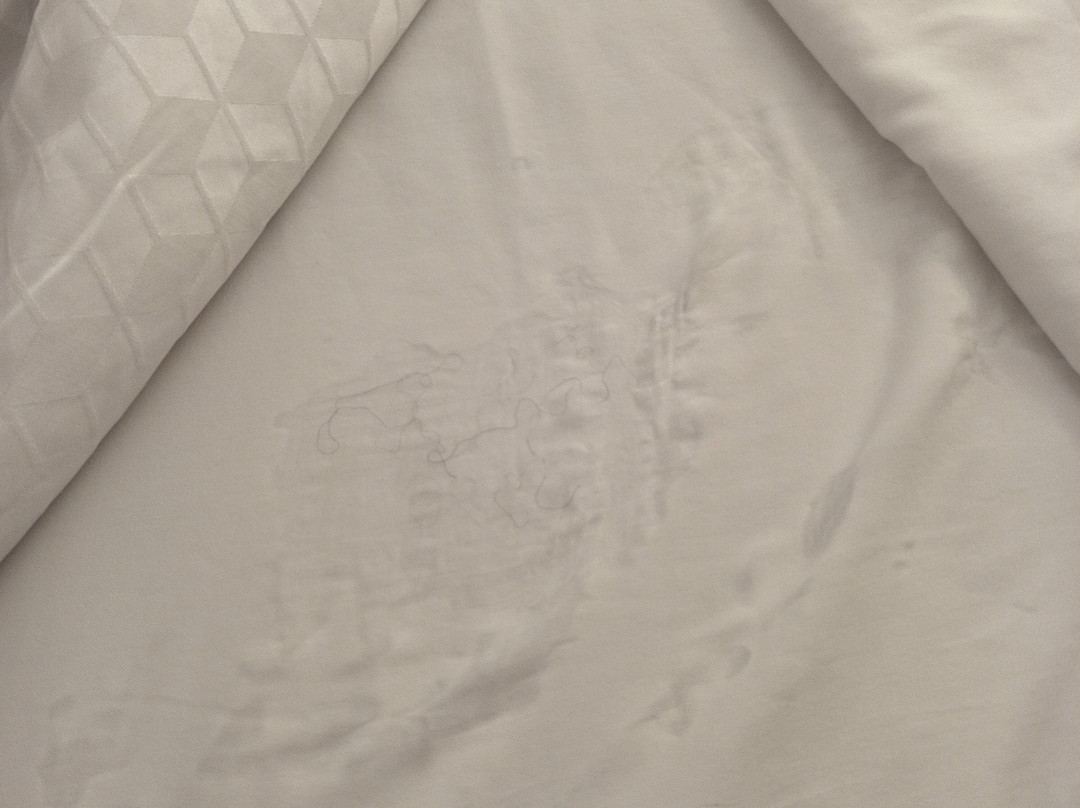 埃卡特佩克嘉年华酒店主图