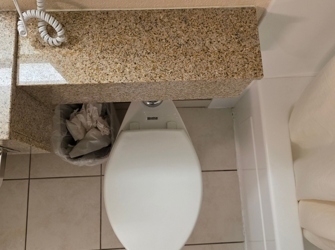 Everspring Inn主图