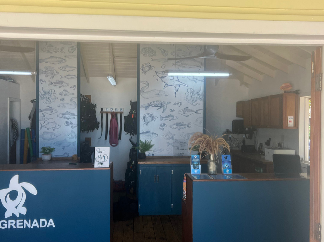 Dive Grenada-Grand Anse必去景点