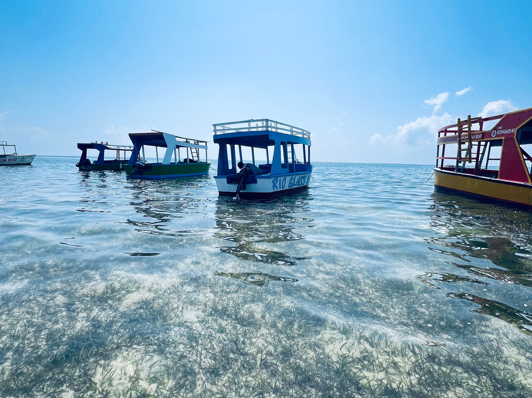 Mombasa Marine National Park-蒙巴萨必去景点