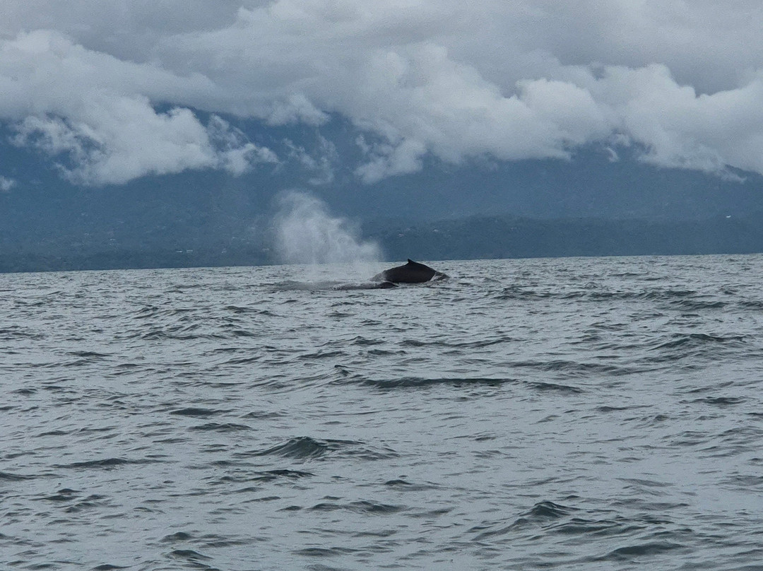 Aventura Uno-彭塔雷纳斯必去景点