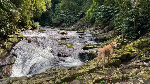 Eco Park Alta Mira-Sao Francisco de Paula必去景点