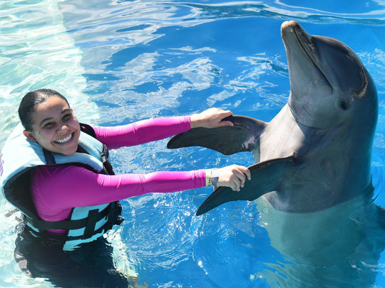 Dolphin Discovery Punta Cana-Higuey必去景点