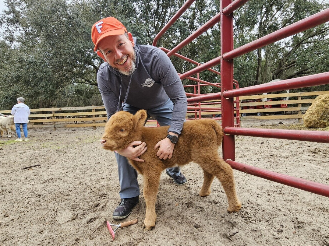 Whispering Oaks Miniature Ranch-Clermont必去景点