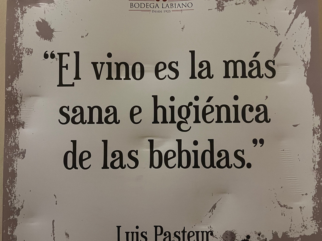 Bodega Labiano-圣拉斐尔必去景点
