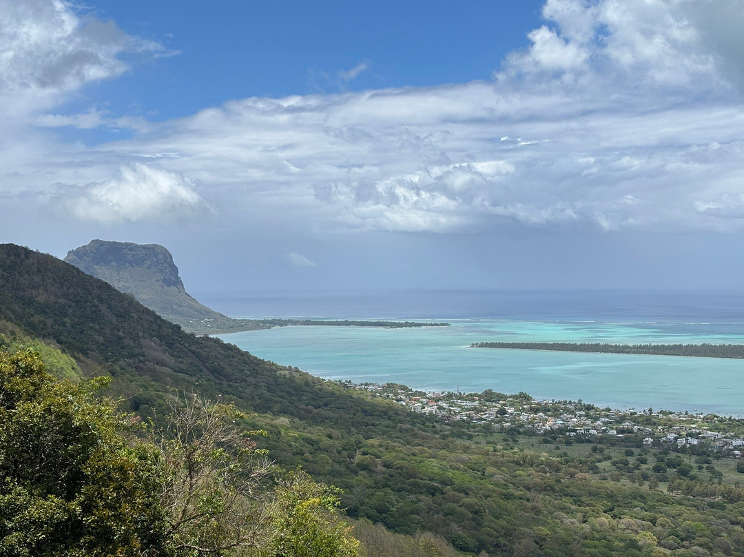 Sud Sauvage Adventure-Surinam必去景点