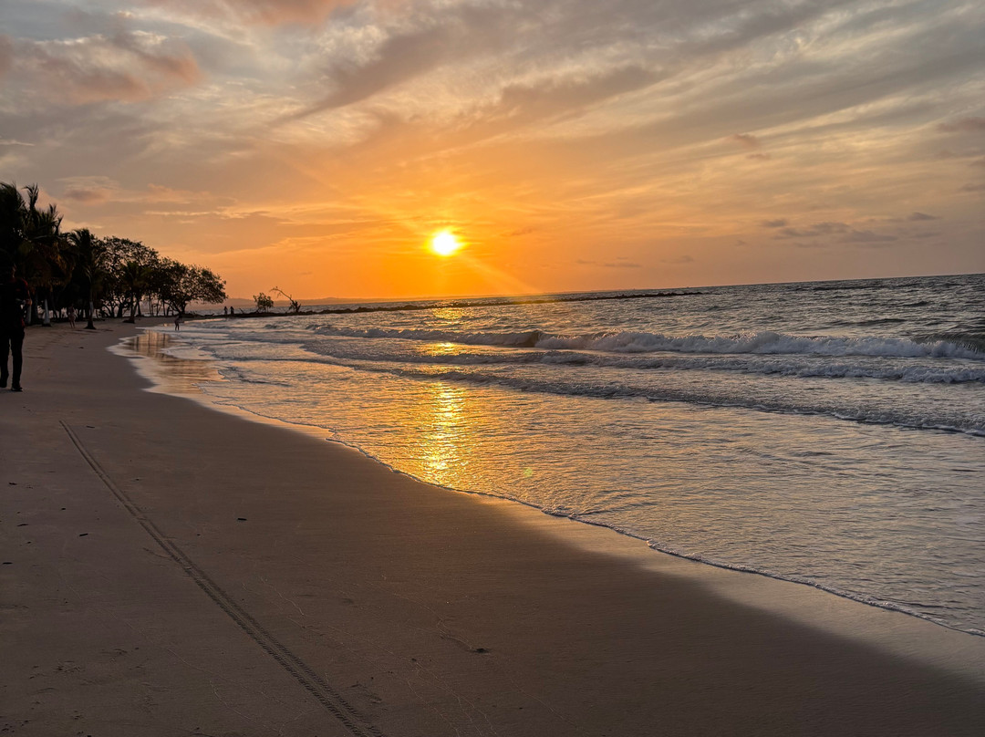 Hotel Camino Palmero - Coveñas主图