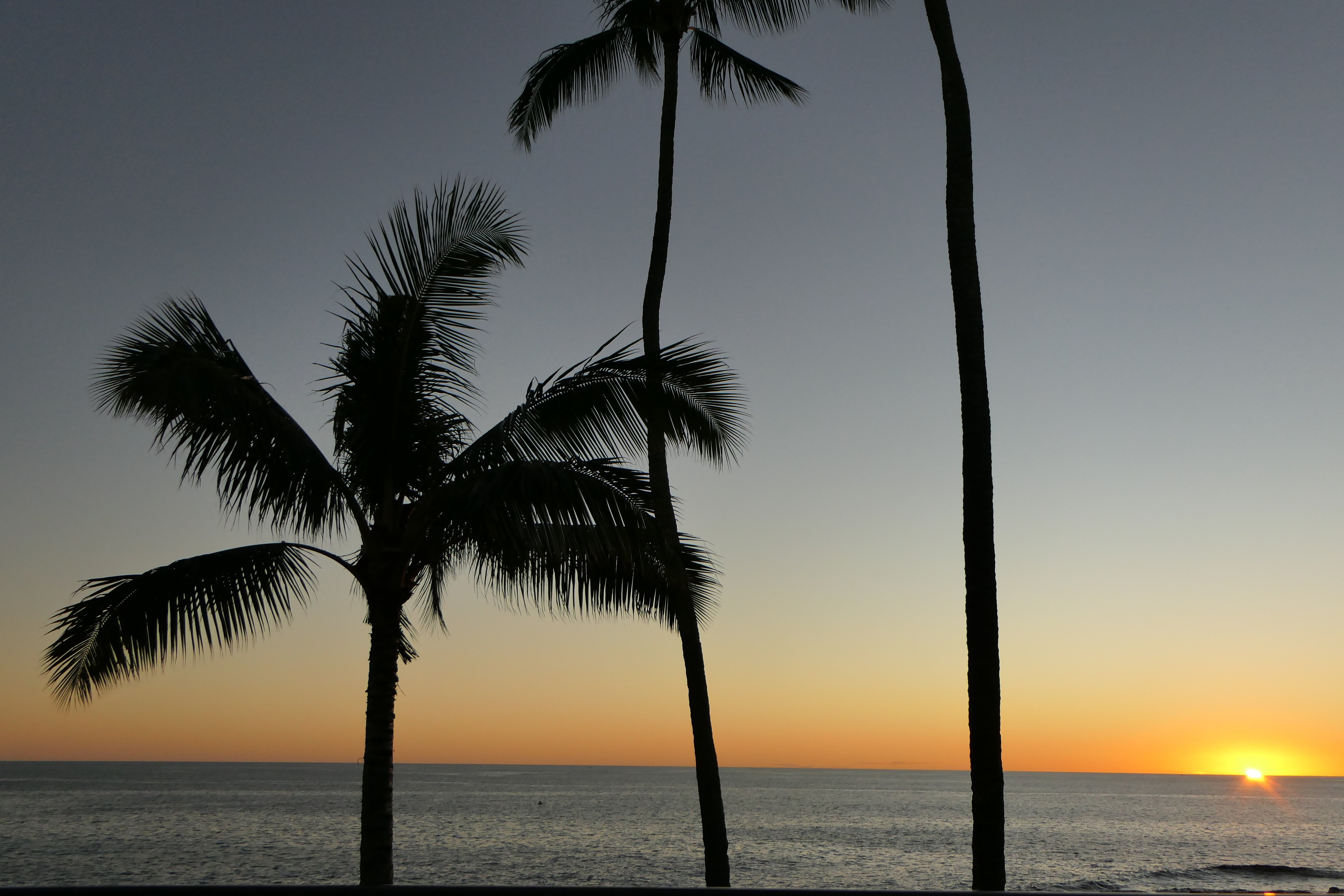 Whalers Cove Oceanfront Resort-官方