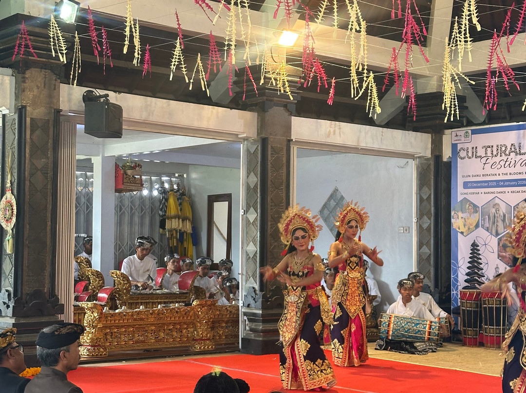 Lovina Bali Transport-新加拉惹必去景点