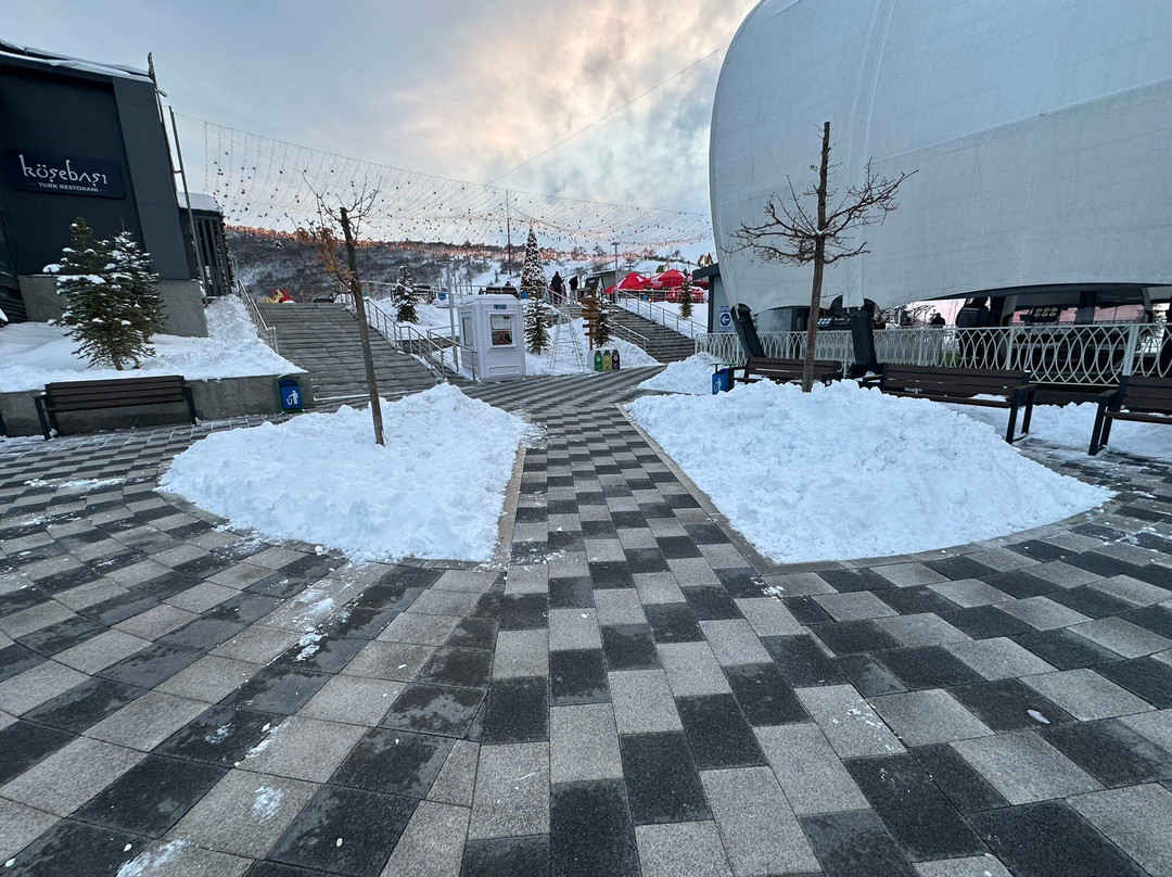 Chinorkent Cable Car