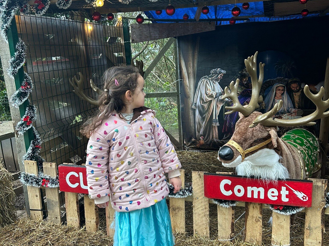 Gwrych Castle-Abergele必去景点