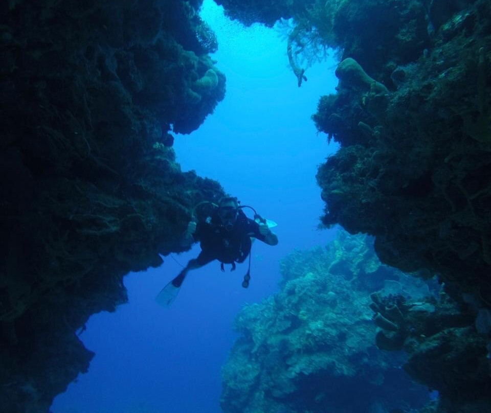 Dive  Palancar-考祖梅必去景点