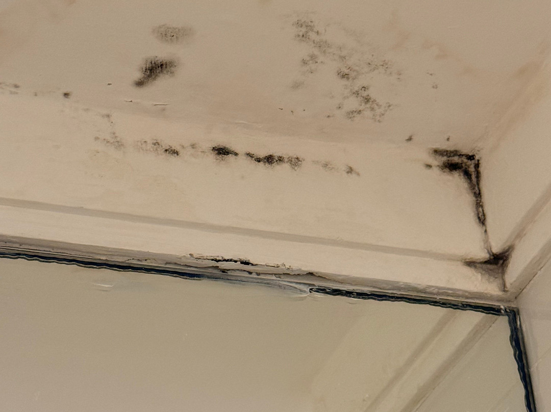 Hotel Villa Fiori主图