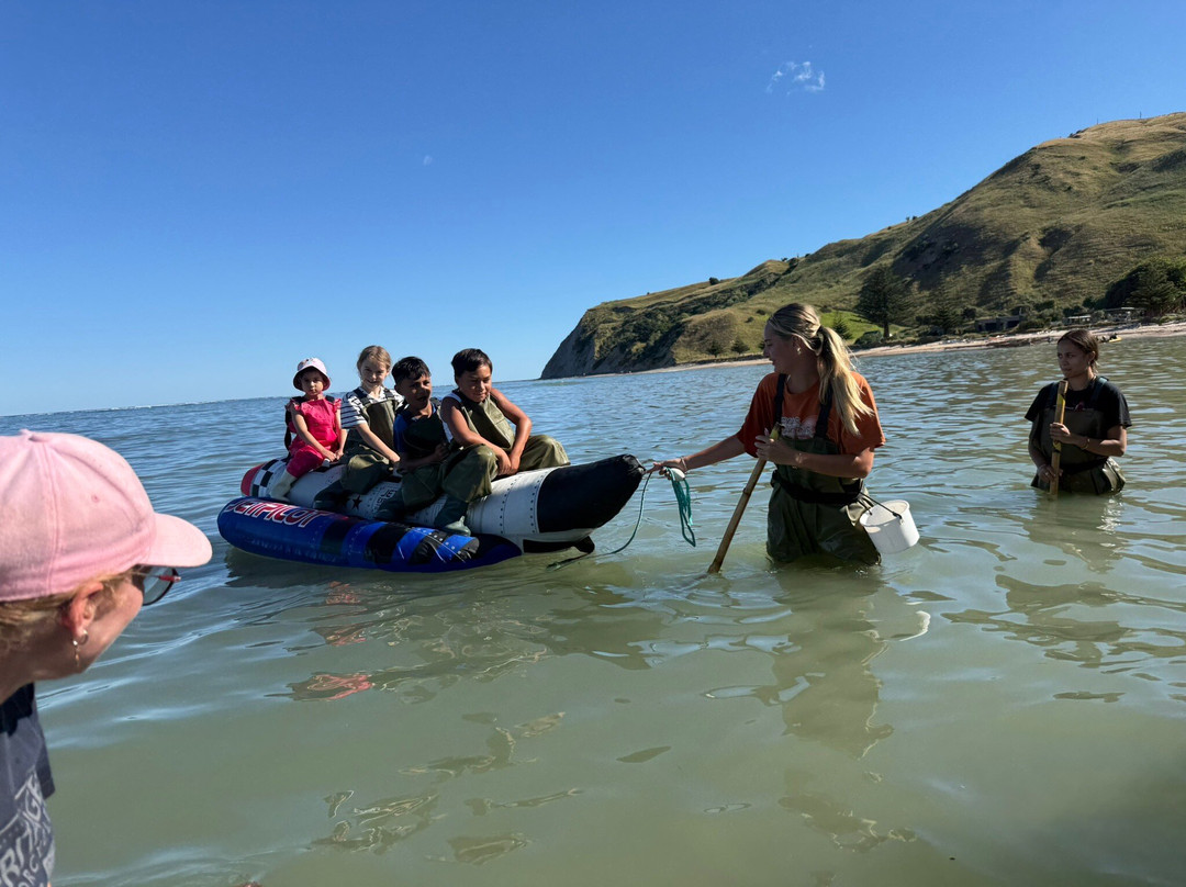 Dive Tatapouri-Gisborne Region必去景点
