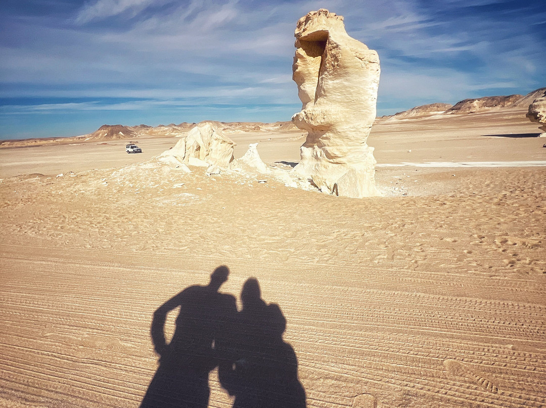 tamer safari-开罗必去景点