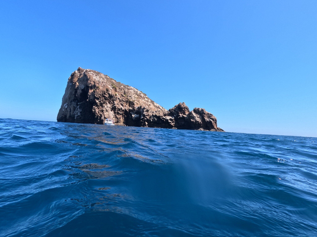 Scuba Iguana-阿约拉港必去景点