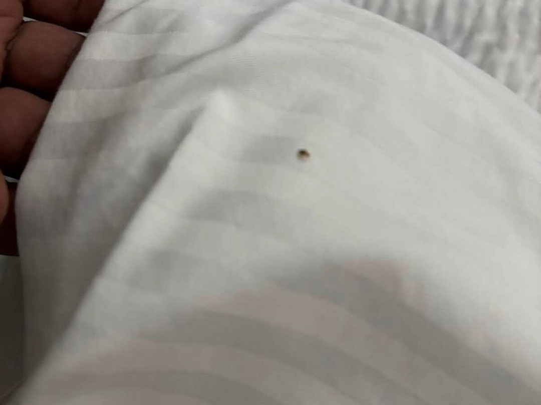 Best Western Acworth Inn主图