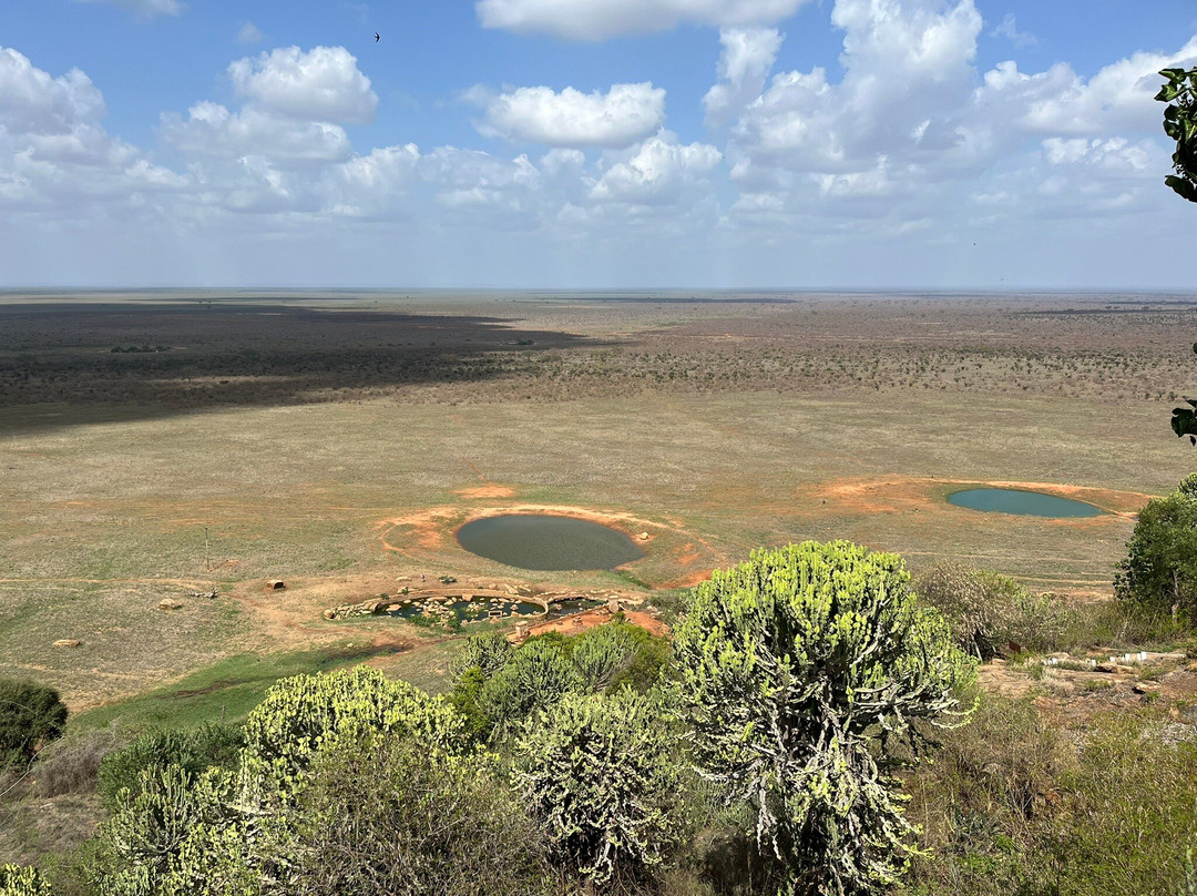 Agenzia Safari Vera Africa-东察沃国家公园必去景点
