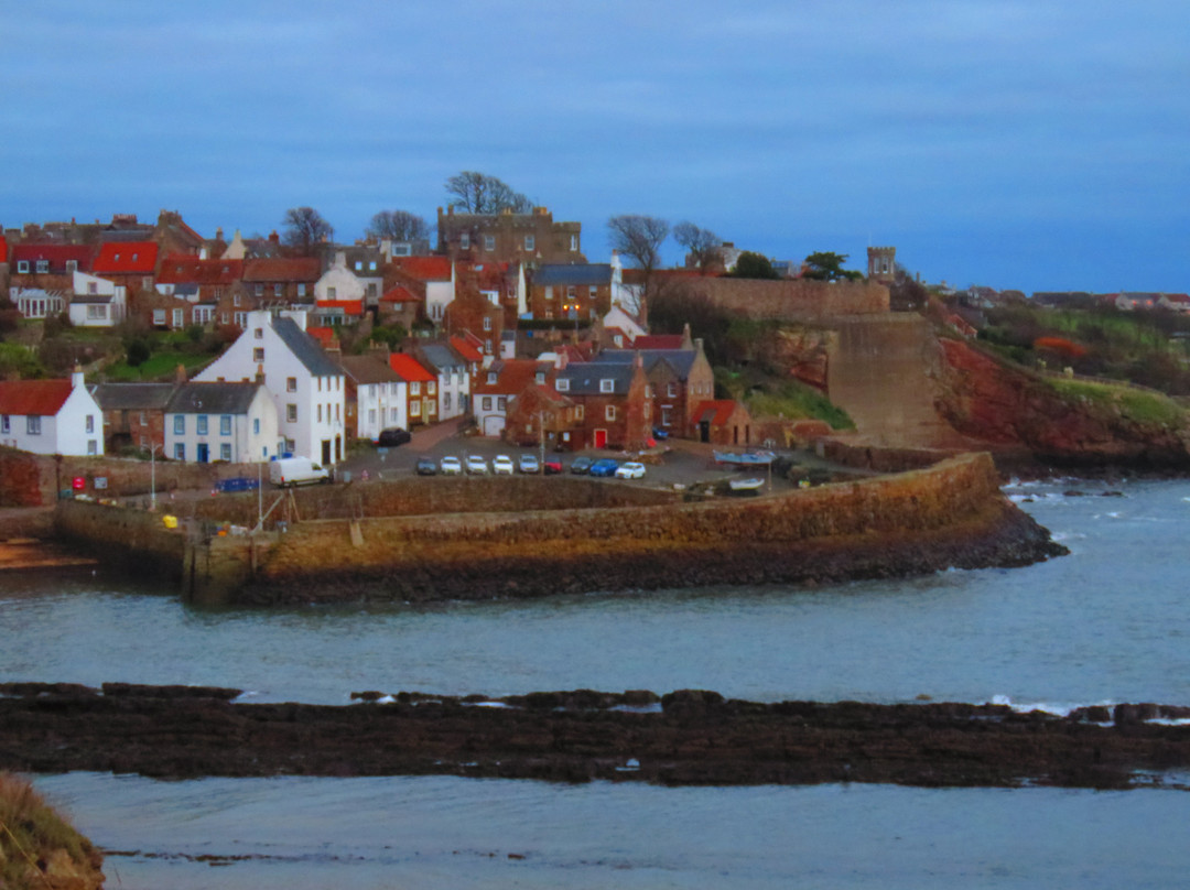 Crail Harbour-Crail必去景点