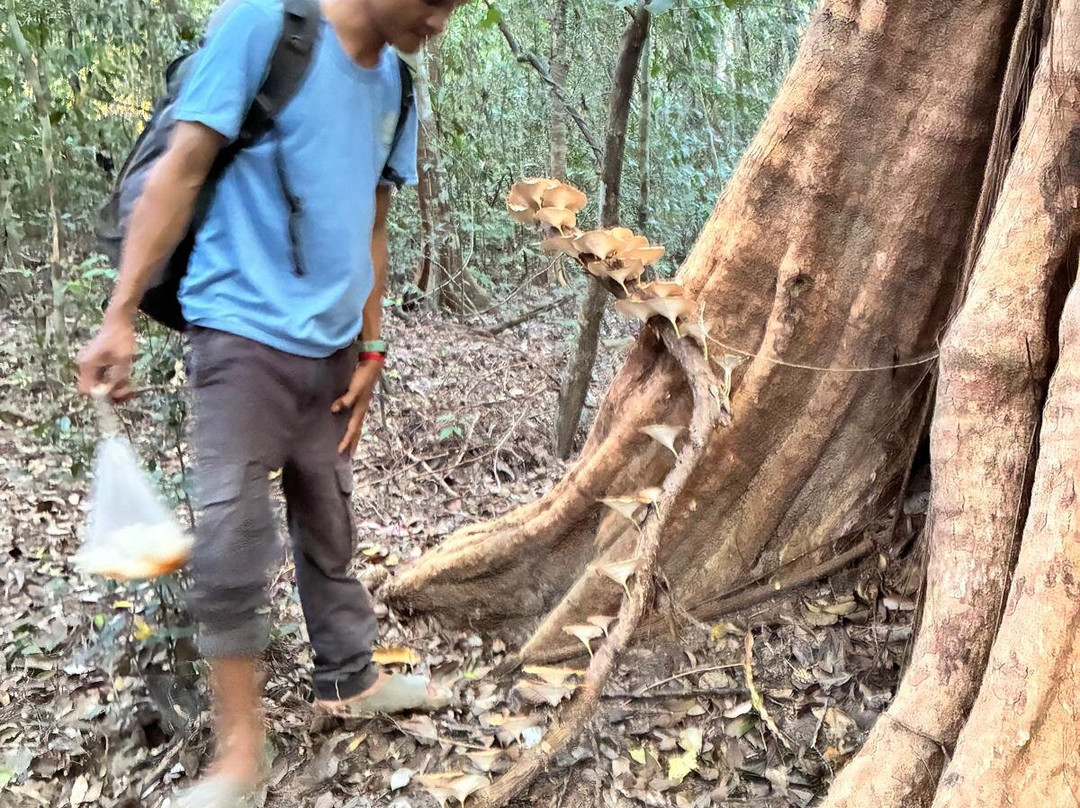 Parrot Tours-邦隆必去景点