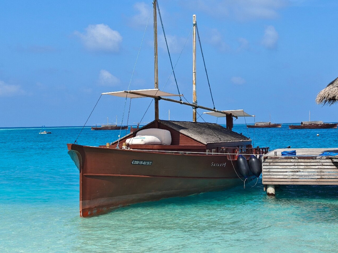 Joy Dive Maldives-萨芙莉岛必去景点