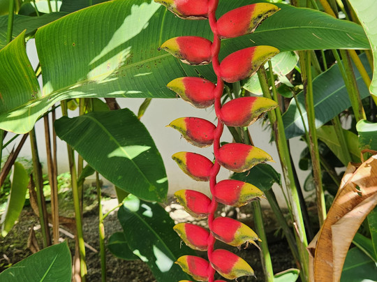 Hotel Rio Lindo主图