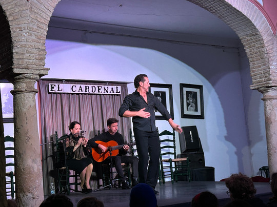 Tablao El Cardenal-科尔多瓦必去景点