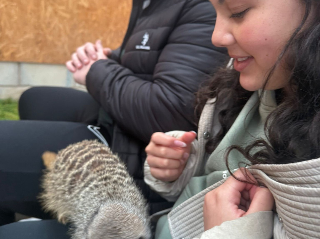 Holmes Chapel Zoo-Holmes Chapel必去景点