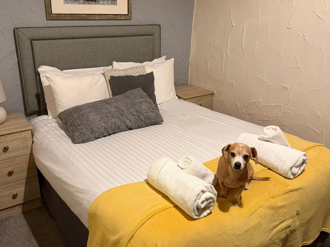 Kiln Hill Barn主图