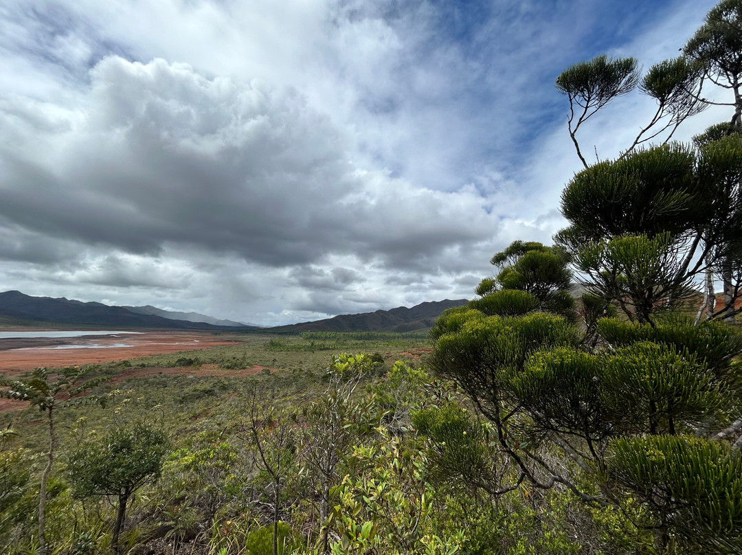 Toutazimut-努美阿必去景点